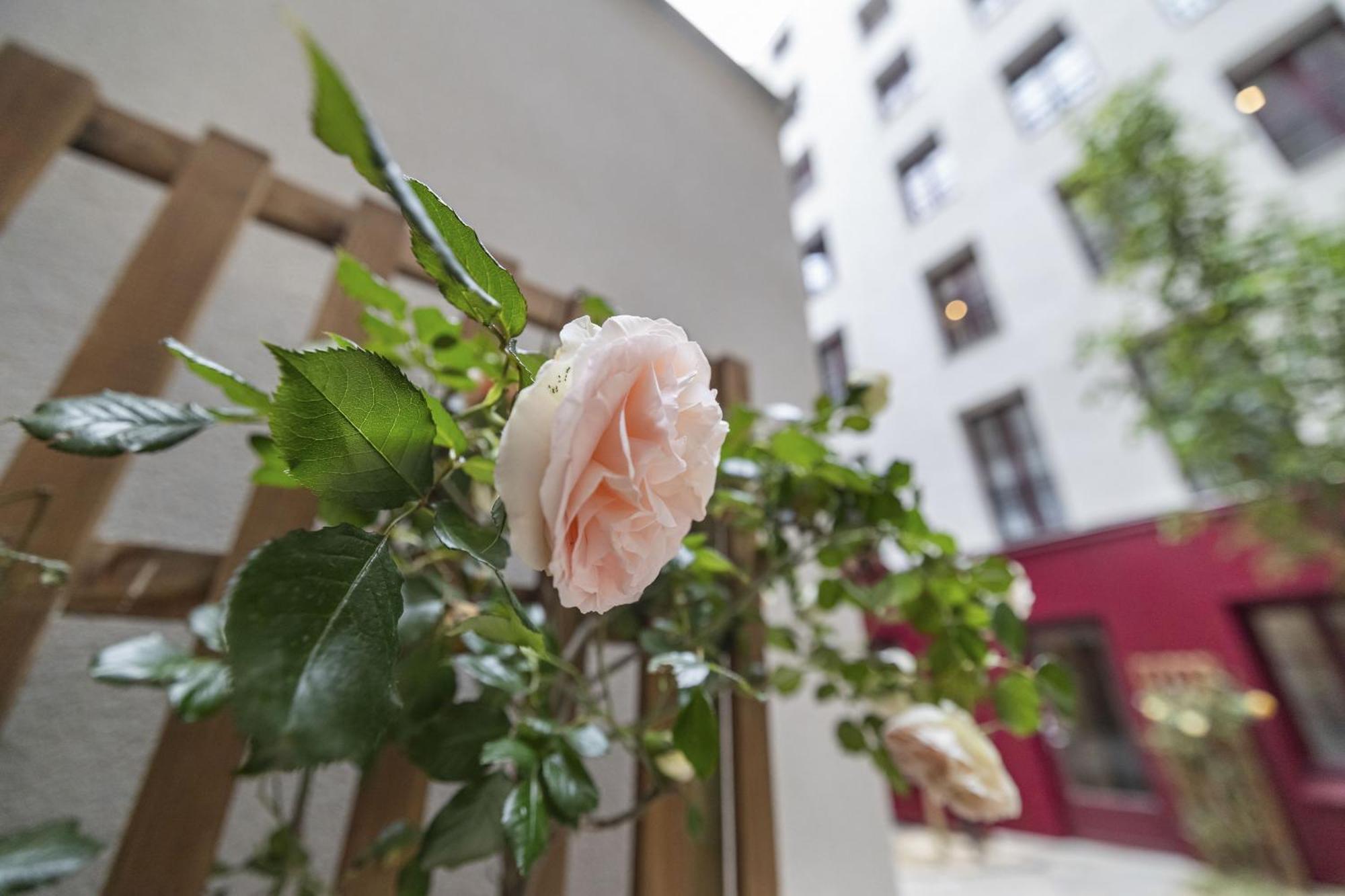 Out Of Africa Apartment Paris Exterior foto